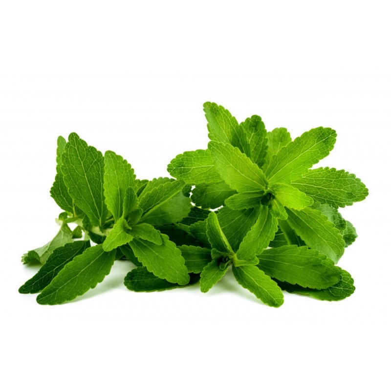 Stevia rebaudiana frön | 1,90 €
