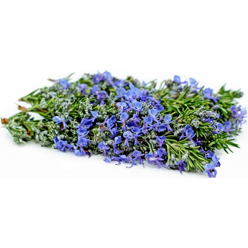 Σπόροι Δενδρολίβανο (Rosmarinus officinalis) 2.5 - 4