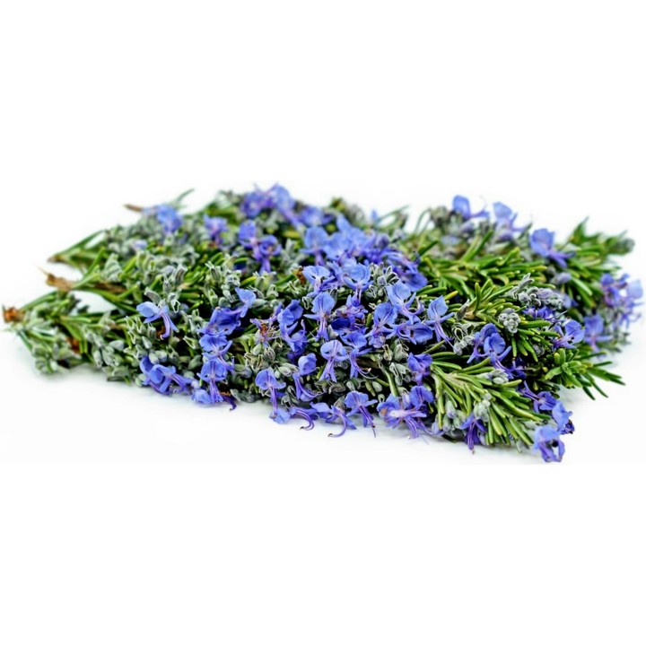 Rosemary Seeds (Rosmarinus officinalis) - 293.223938