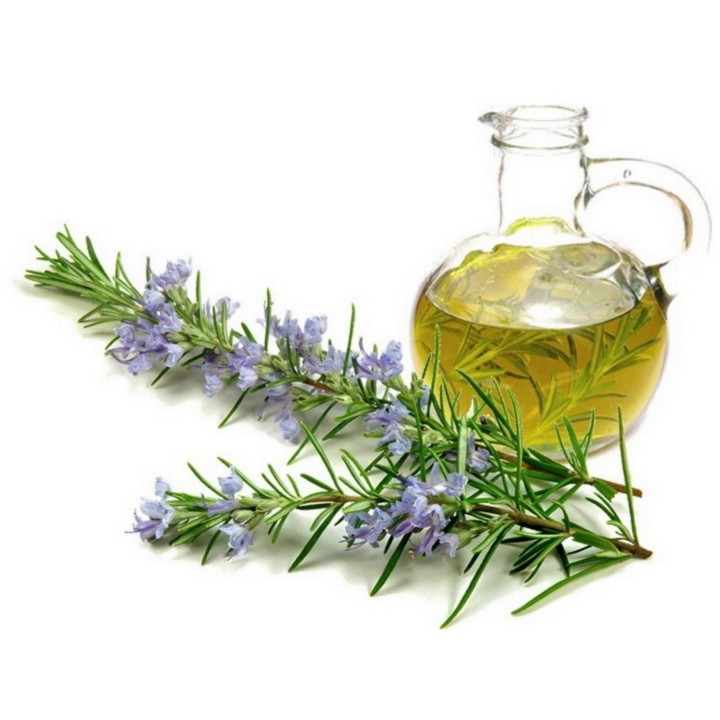 Rosemary Seeds (Rosmarinus officinalis) - 293.223938