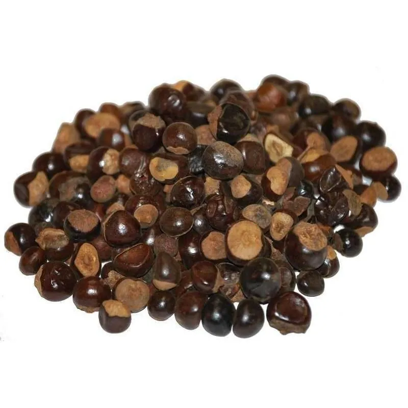 GUARANA Seeds (Paullinia Cupana)