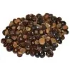 Graines de Guarana (Paullinia Cupana)