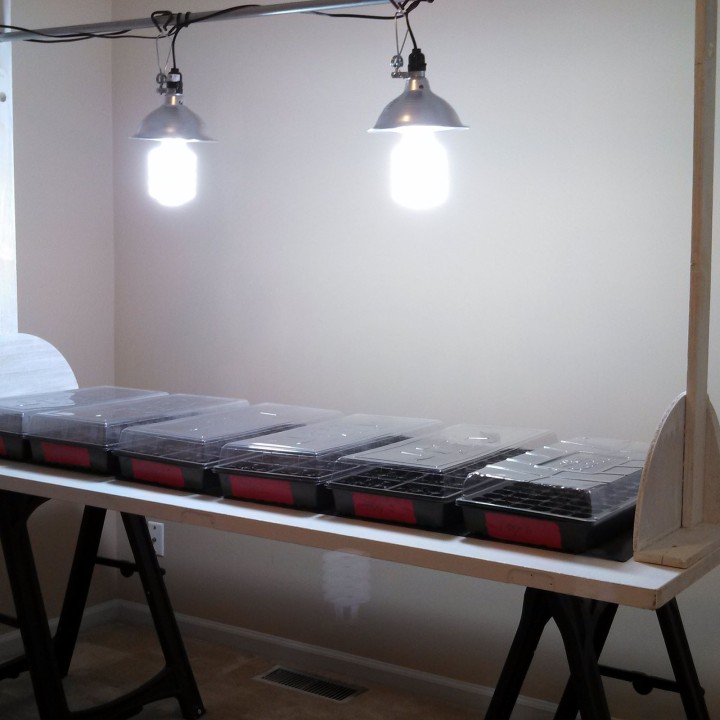 Sowing Seeds that Need Light for Germination - 0