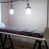 Aussaat Lichtkeimer