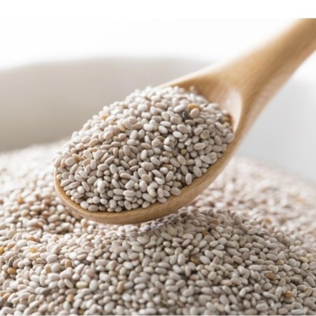Vit Chia frön