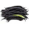 Dwarf French bean Purple Queen Seeds