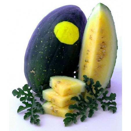 Price: €1.95 - Sementes de melancia amarela "Lua e Estrelas" - Seeds Gallery