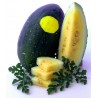 Price: €1.95 - Semillas de sandía amarilla "Luna Y Estrellas" - Seeds Gallery