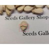 Price: €10 - 100 Graines Pastèque jaune Lune-Etoile - Seeds Gallery