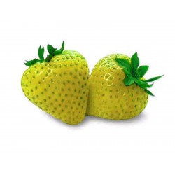 Price: €1.5 - Sementes De Morango Amarelo Raras - Seeds Gallery
