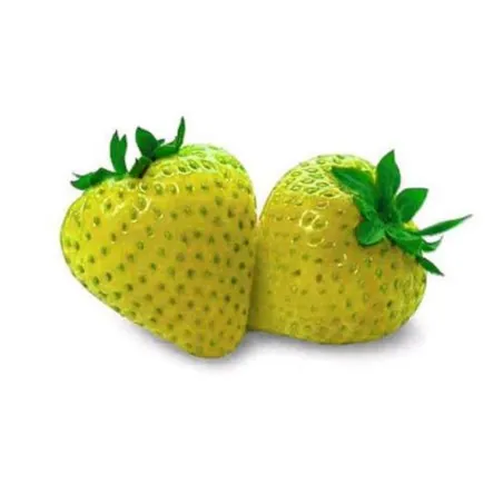 Strawberry Seeds Yellow Wonder