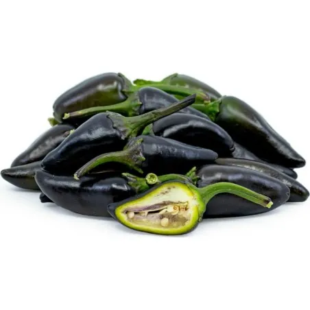 Graines de Piments Jalapeno Purple & Brown