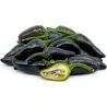 Graines de Piments Jalapeno Purple & Brown