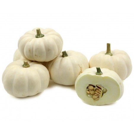 Price: €2 - Graines de Courge BABY BOO - 