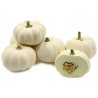 Price: €2 - Kürbissamen BABY BOO - 