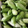 Price: €3.5 - Semi di Caigua - Cetriolo Inca (Cyclanthera Pedata) - Seeds Gallery
