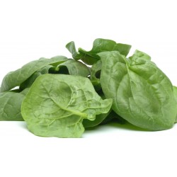 Price: €2.15 - Σπανάκι σπόρους - ΓΙΓΑΝΤΑΣ ΑΜΕΡΙΚΑΝΟΣ - 