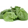 Price: €2.15 - Spinatsamen - Amerikanischer Riesenspinat - 