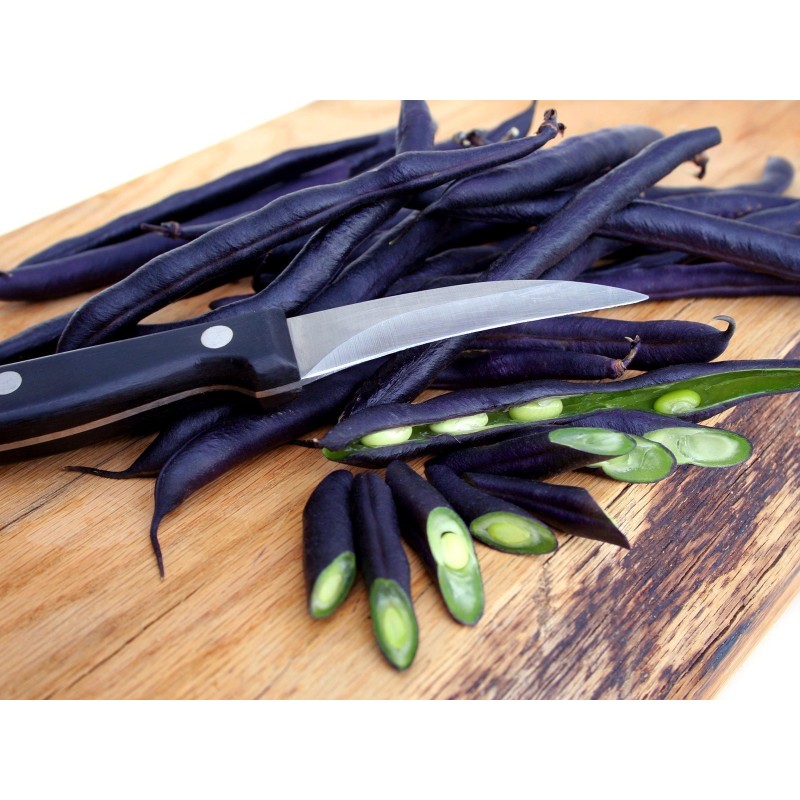 Price: €1.95 - Graines de Haricots Blauhilde - 