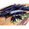 Price: €1.95 - Böna Frö Blauhilde - 