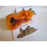 Price: €1.75 - Graines de Rocoto Manzano Chili fraîches - Seeds Gallery