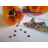 Price: €1.75 - Graines de Rocoto Manzano Chili fraîches - Seeds Gallery