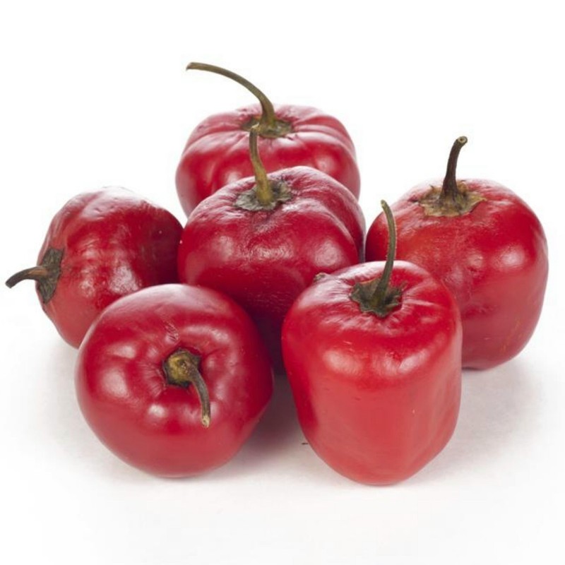 Price: €1.75 - Sementes de Rocoto Manzano pimentão frescos - Seeds Gallery
