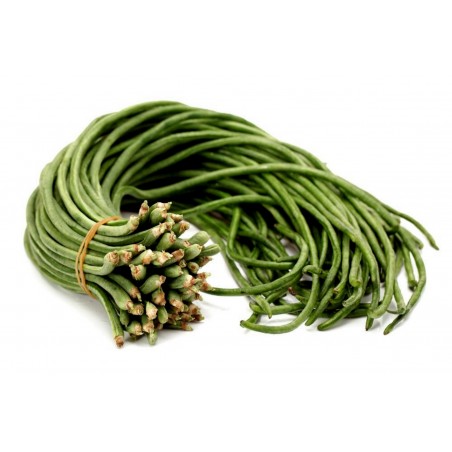 Price: €2.25 - Sementes Feijão Metro De Comprimento - Seeds Gallery