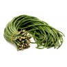 Price: €2.25 - Sementes Feijão Metro De Comprimento - Seeds Gallery