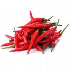Price: €2.45 - Σφήκα τσίλι σπόρους - Seeds Gallery