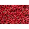 Semillas de Chile Avispa
