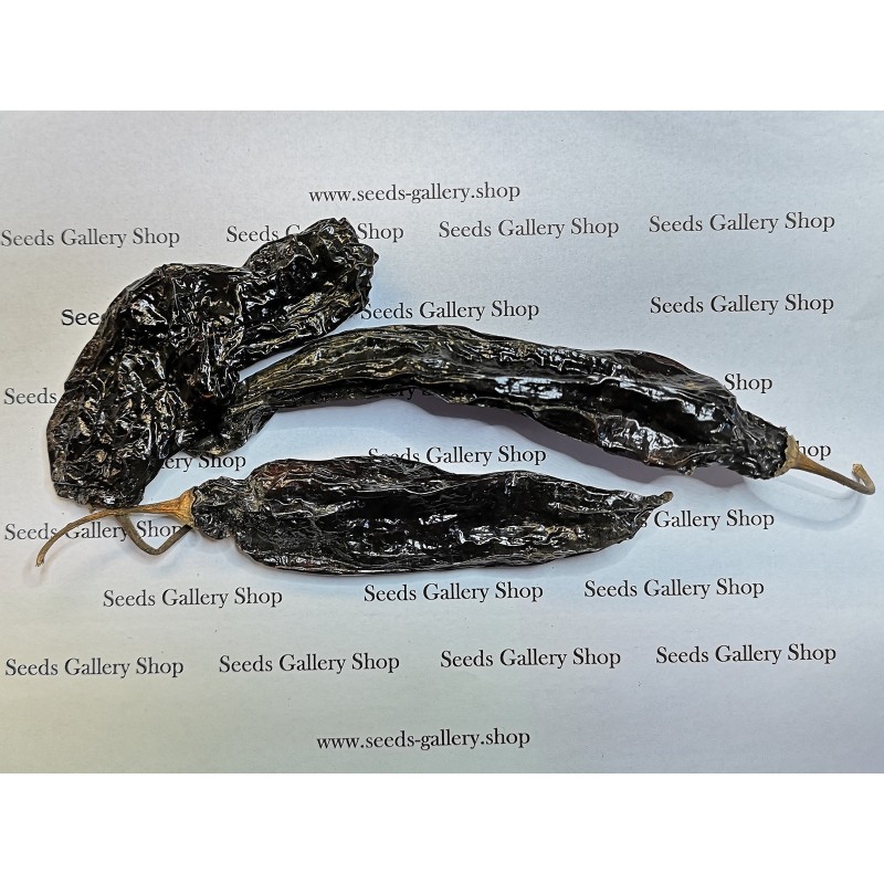 Semi di peperoncino peruviano Ají Panca