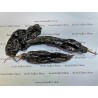 Price: €1.95 - Chili Samen Aji Panca - Aji Brown - Seeds Gallery