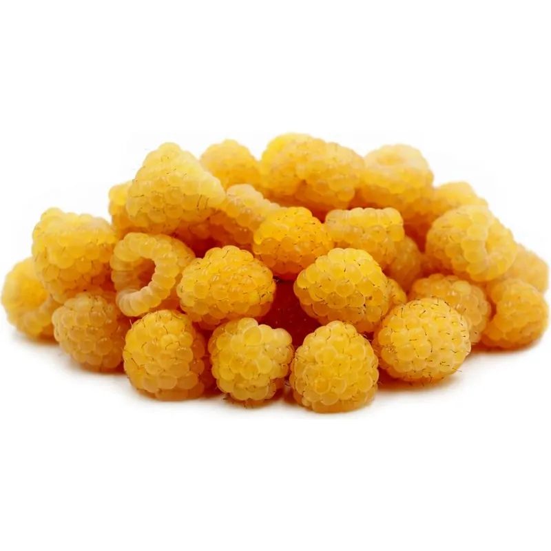 Semi di Lampone Giallo (Rubus idaeus)