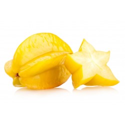 Semillas Averroha carambola Fruta Estrella 4 - 2