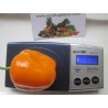 Price: €1.75 - Graines de Rocoto Manzano Chili fraîches - Seeds Gallery