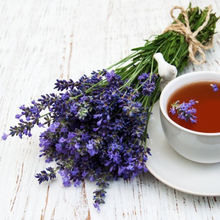 Price: €2.45 - Bienenkraut - Ysop Samen Heilpflanze (Hyssopus officinalis) -