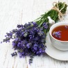 Price: €2.45 - Bienenkraut - Ysop Samen Heilpflanze (Hyssopus officinalis) - 