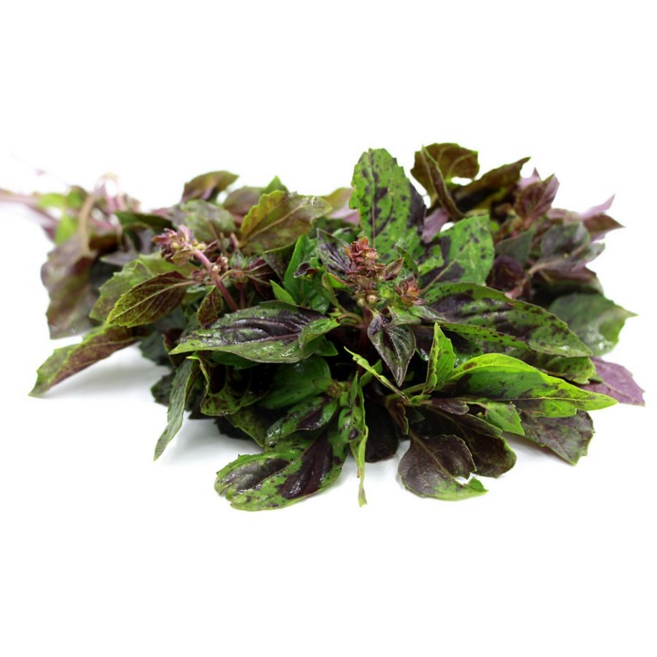Ararat Basil Seeds (Ocimum basilicum) - 1.755