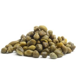 Kapris Fröer (Capparis spinosa) - 1.755