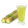 Price: €3.5 - Graines de Canne à sucre (Saccharum officinarum) - 