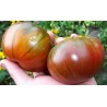 Price: €1.85 - ARBUZNYI (καρπούζι) Σπόροι ντομάτας - Seeds Gallery
