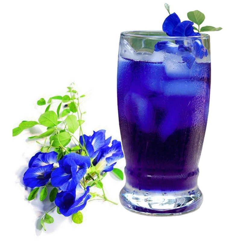Κλιτόρια σπόρος (Clitoria ternatea)