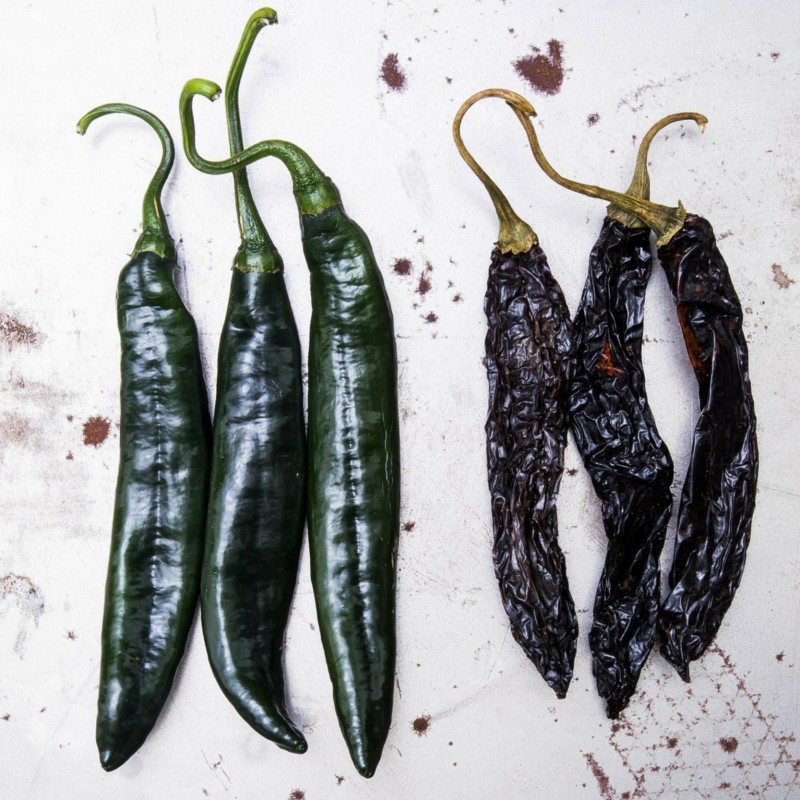 Price: €1.95 - Pasilla Bajio Μαύρο τσίλι σπόροι - Seeds Gallery