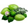 Price: €1.85 - Semi di Cece (Cicer arietinum) - 