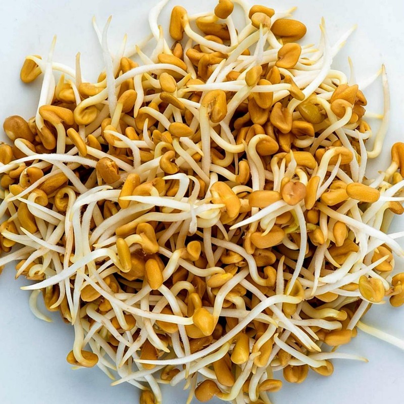 Price: €1.15 - Fenugreek Seeds (Trigonella foenum-graecum) - 