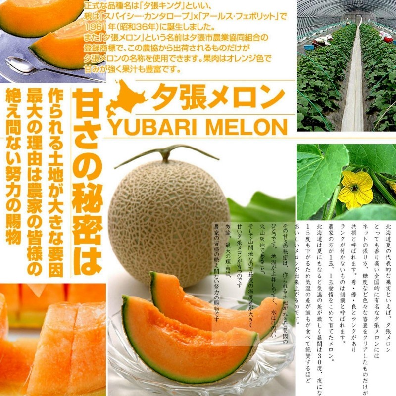 Yubari König Melone Samen Das teuerste Obst auf der Welt 7.45 - 1