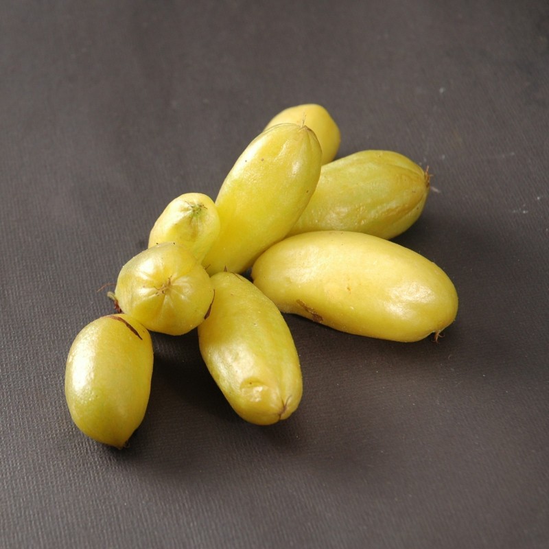 Semillas de Bilimbina Del Brasil, Bilimbi