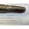 Giant Carrot Seeds Purple Dragon