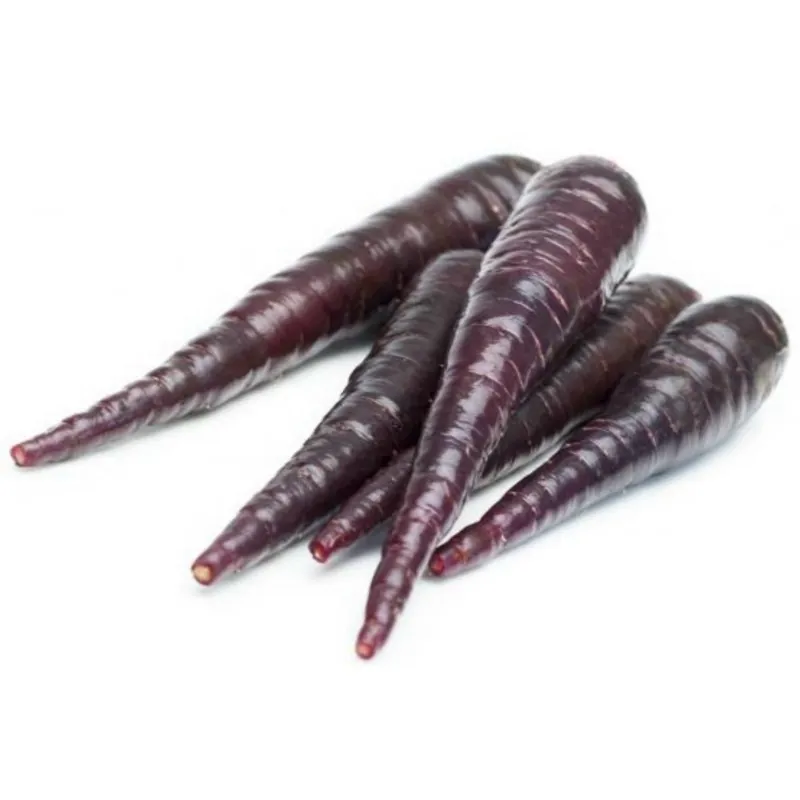 Semi di carote giganti Purple Dragon
